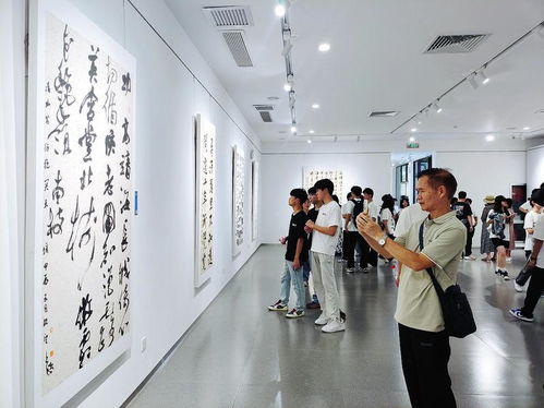 翰墨飄香連深邕，問道八桂譜新篇——2024深圳“翰墨寶安”書法交流展在南寧成功舉辦